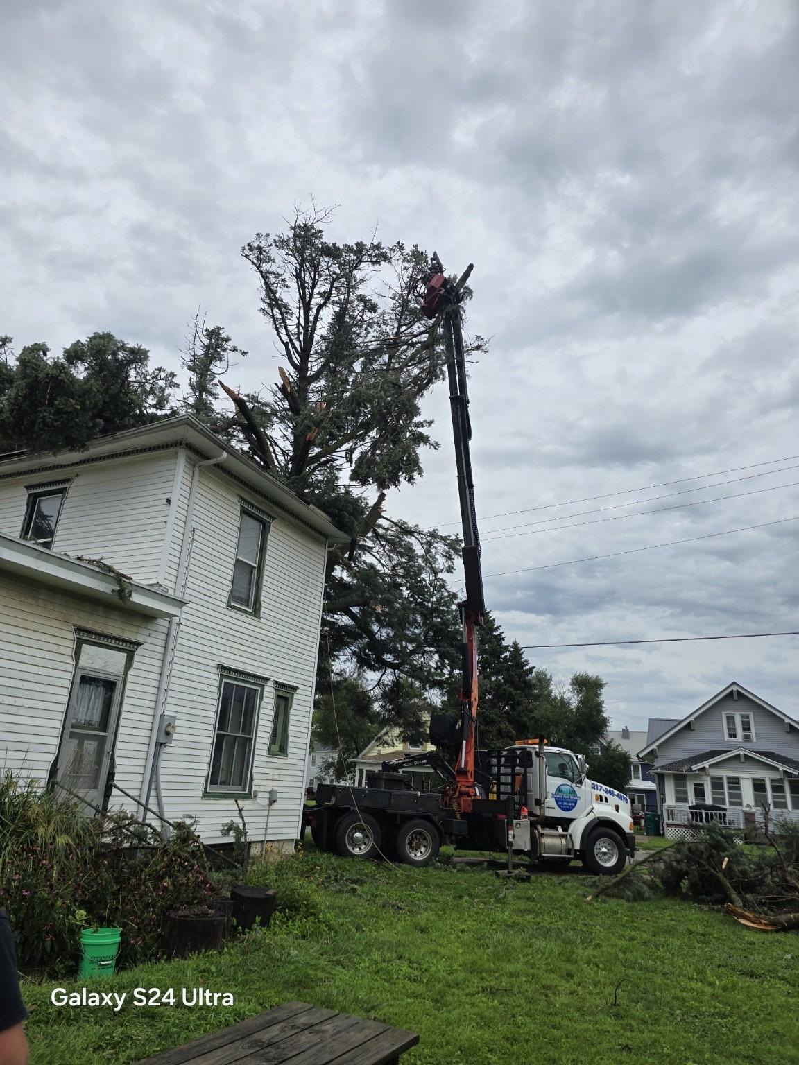 Zeisler crane truck reaching into a tall tree beside a house