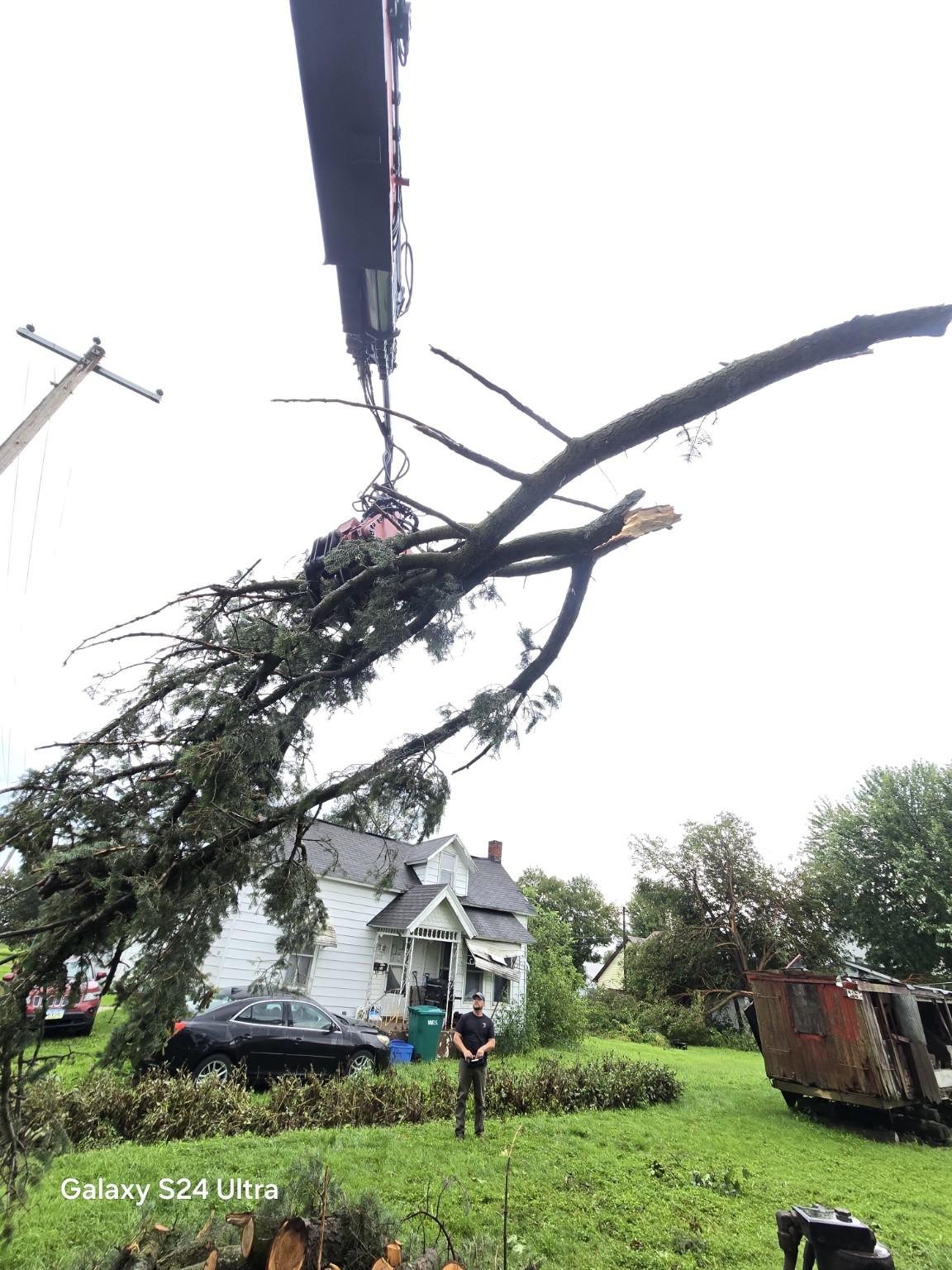 Grapple saw holding a large tree section above the work area