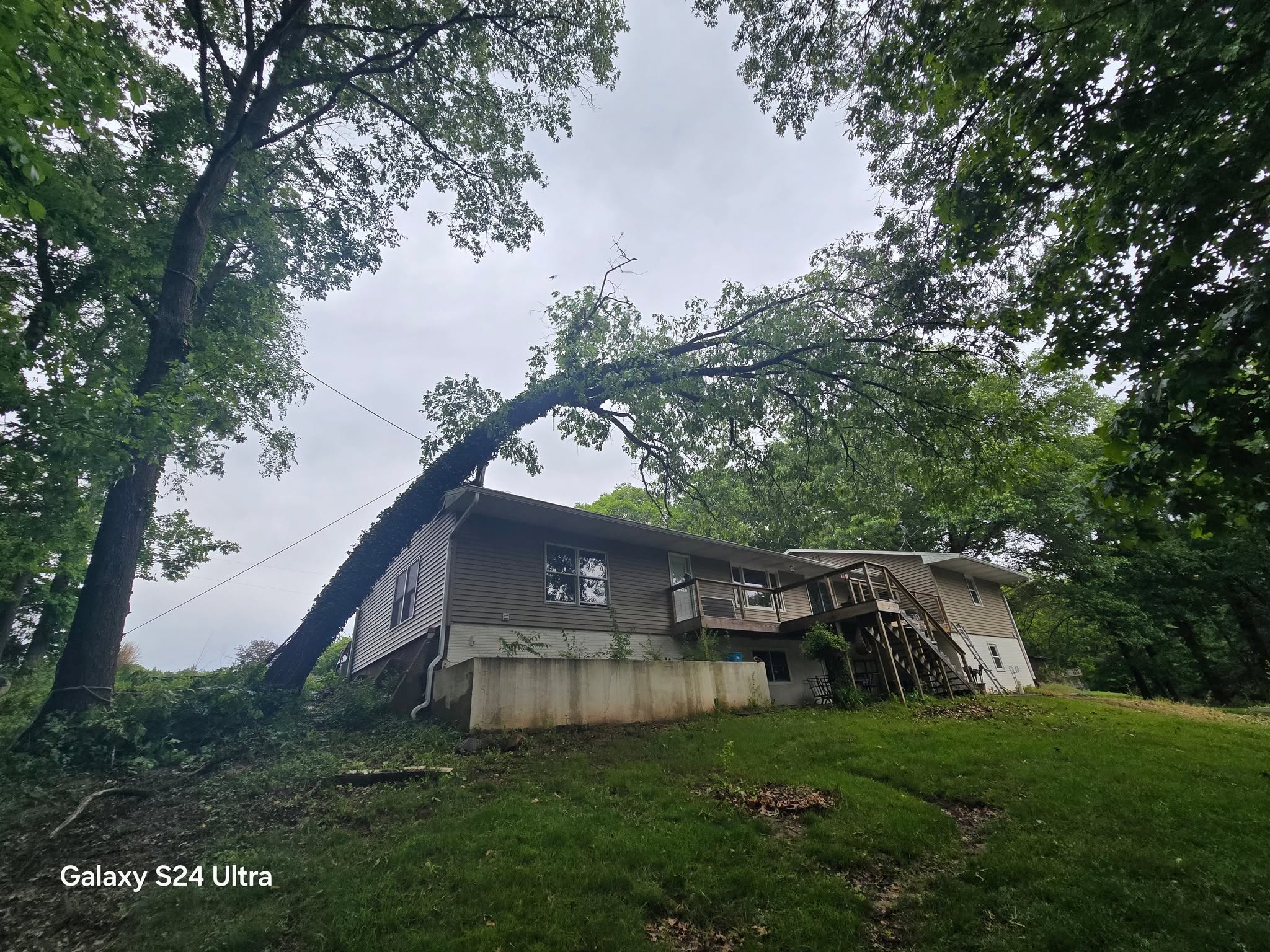 Large fallen tree resting on a home at a Zeisler Tree Service storm damage job